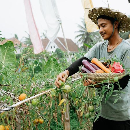 The Rice Joglo Eco-Stay أوبود المظهر الخارجي الصورة