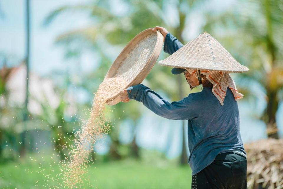 The Rice Joglo Eco-Stay أوبود المظهر الخارجي الصورة
